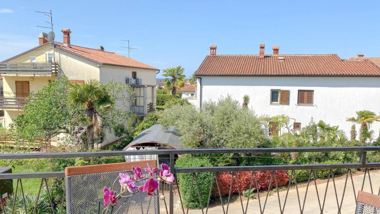 Ester Novigrad Istria Kültér fotó